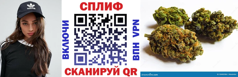 MEGA tor  купить  сайты  Подпорожье  Бошки марихуана Amnesia 